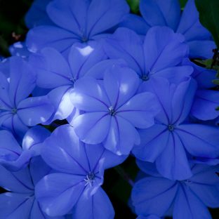 サンプル商品②