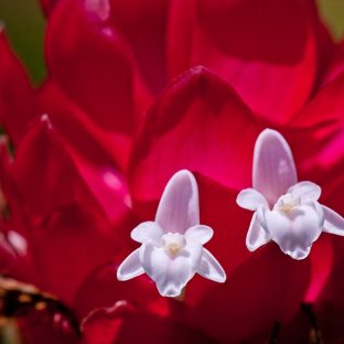 サンプル商品③