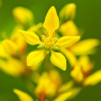 サンプル商品⑤