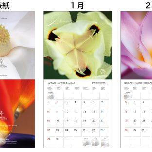 2022年カレンダー　BOTANICAL GARDENS of HAWAII