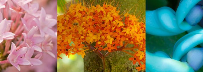 ワンランク上の空間を楽しむアート 特集